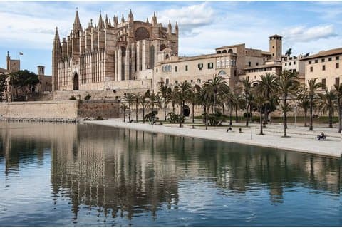 VIP Palma de Mallorca og Cathedral fra Cruise Port Lille Gruppe