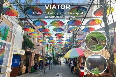 Excursão pela cidade partilhada em Puerto Plata e no campo