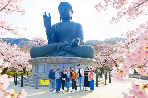 Von Seoul: Mt. Seorak & Kirschblüte & Foodie Tour