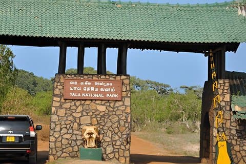 Yala National Park Ethical Safari in Block 5