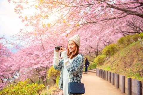 Excursión de un día al Café de la Catarata Pokpo y Cerezo de Seúl