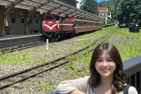 Alishan Join-in Day Tour from Kaohsiung (Incl. Park Entrance)