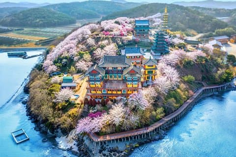 Cherry Blossom Tour from Seoul with Coastal and Temple Views