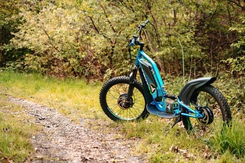 Discover National Park Bosland on an Offroad E-scooter