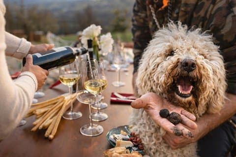 ピエモンテでトリュフ狩りとワインテイスティング