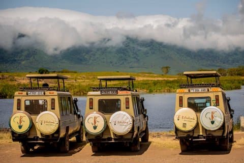 Safari en camping privé de 6 jours en Tanzanie depuis l'aéroport du Kilimandjaro