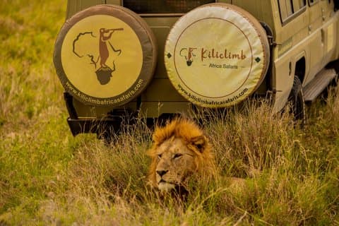 Safari in campeggio privato di 7 giorni in Tanzania