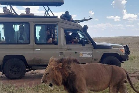 Halve dag Nairobi Nationaal Park Safari Tour