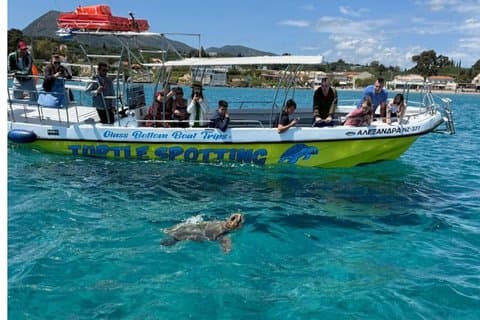 Garanterad sköldpaddsspaning 3 timmar Zakynthos Simma och grottor