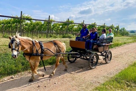 Excursão a cavalo com Pic Nic em Lazise