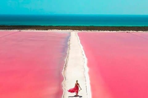Rio Lagartos og Las Coloradas Pink Lakes bådtur fra Cancun