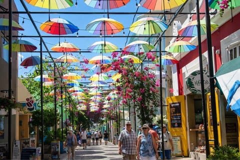 Puerto Plata 360°: Historia Cultura y Sabor Local
