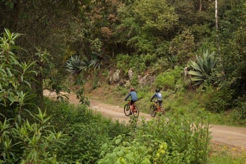 Oaxaca Gravel/MTB tour: Sierra Norte-Teotitlán del Valle & Mezcal