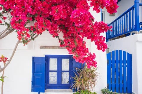 Your Mykonos Your Way|島のカスタムプライベートツアー