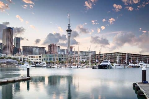 Auckland City Tour di mezza giornata per piccoli gruppi - I migliori posti