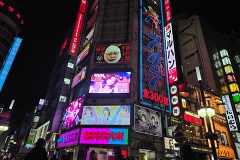 東京 : 完全カスタマイズ可能なプライベートナイトツアー(EN/FR/ESを選択)