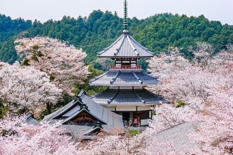 Ontdek het heilige verleden van de berg Yoshino vanuit Osaka