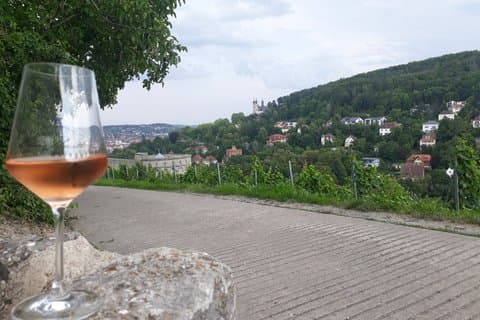 Vineyard hike “Würzburger Panoramaweg” incl. 3er wine tasting