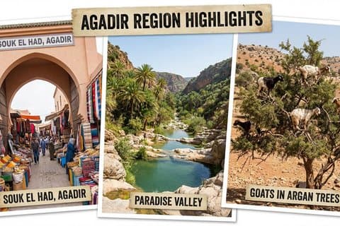 Agadir 3 in 1 Paradise Valley e Souk Visita le capre sugli alberi