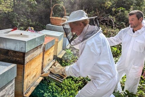 Full-Day: Honey, Mountains & Cheese Tour