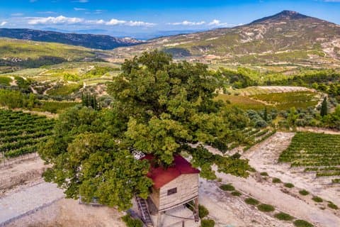 Wine Tasting Tour Ancient Nemea - Argos
