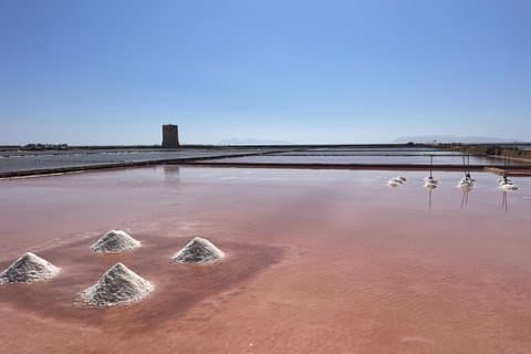 Visite privée : Ségeste, Erice et les salines de Trapani