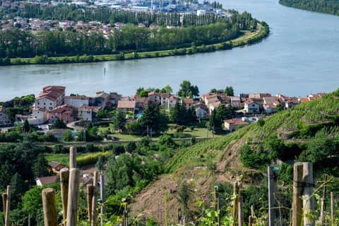 Nordlige Rhône Valley vin privat tur fra Lyon