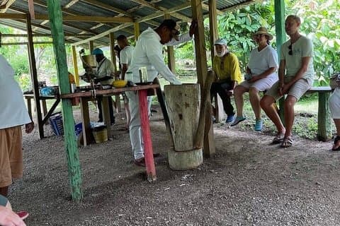 Safari and City Tours