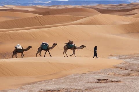 M'Hamid Camel 4 - Experiencia de tour privado de un día