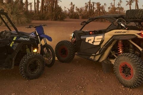Utforsk ørkenen til palmelunden i Marrakech av Buggy