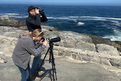 Zapallar Walking & Bird Watching Penguins from Valpo.Tour Privado
