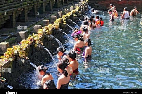 Ubud Shore Utflykt Kultur & natur Tour från Benoa Port