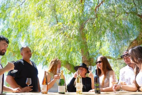 Privé Discovery: Behind the Scene Tour+Tastings+Lunch (5h)