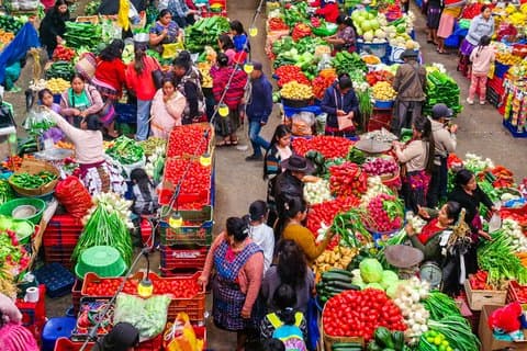 From Panajachel Chichicastenango and Mayan Market and Culture