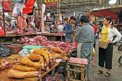 Chengdu Wet Market Walk & Night Market Aventura gastronómica