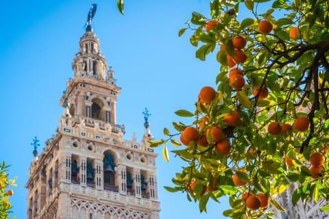 Sevilla katedral og Giralda tur med Priority billetter