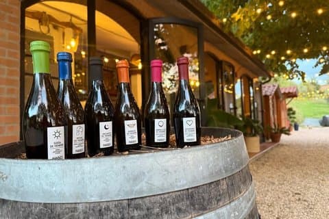 Cata de cerveza artesanal en la Toscana