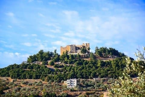 Privat tur til Jerash & Ajloun og Um Qais fra Amman