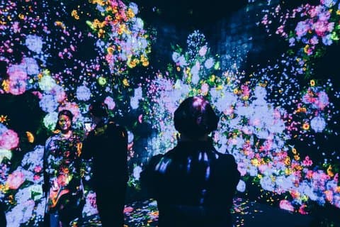 Futuristic Tokyo Tour in TeamLab Borderless and City Views