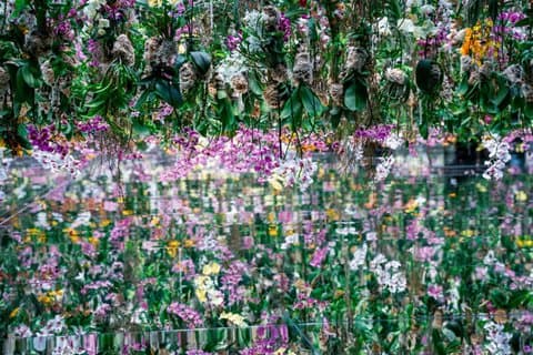 Tokio Führung TeamLab Grenzloser und Kaiserlicher Palast