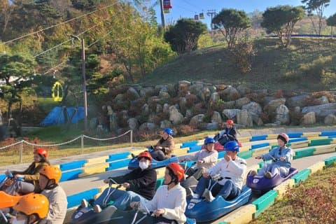 NorthKorea View at Aegibong & Ganghwa Island Luge Tour fra Seoul