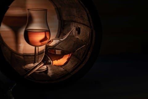 Tour del vino di Cognac a Vineyard Safari e Castello Reale