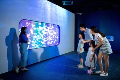 Hong Kong Cube O Discovery Park Biglietto
