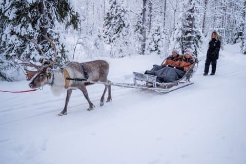 Kuoksa Reindeer eventyr