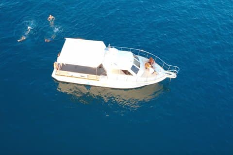 Private Istrian Sea Tour Dolphin Watching and Hidden Bays
