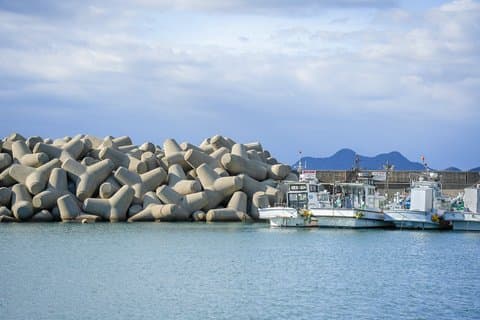 Fishing on the Genkai Sea and Gastronomic Tasting Course
