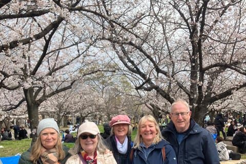 Ohanami in Osaka Highlights, Food, Drinks and History