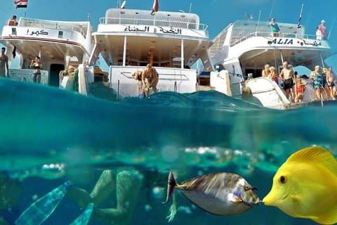 Explore the Red Sea: Hurghada Semi-Submarine Experience