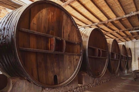 Chateauneuf-du-Pape vinsmaking med transport