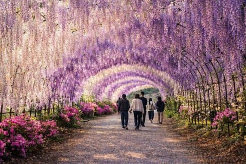 Ashikaga Highlights Privat guidet tur fra Tokyo